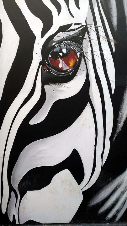 ᐈ Dibujos de Cebras【TOP】Cebras de 2 colores para pintar