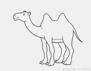 camello dibujo infantil
