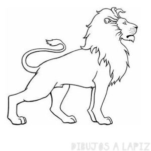cara de leon dibujo