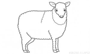 caricaturas de ovejas