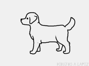 como dibujar a un cachorro