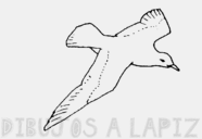 como dibujar gaviotas volando