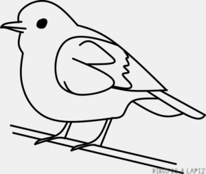 como dibujar un ave