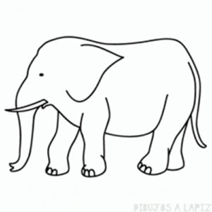 como dibujar un elefante facil