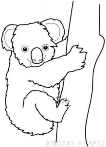 como dibujar un koala facil