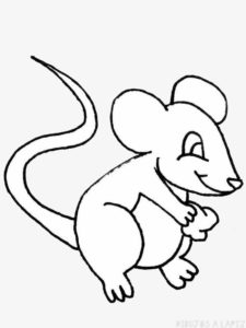 como dibujar un raton para niños