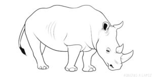 como dibujar un rinoceronte para niños