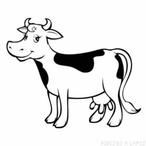 como dibujar un vaca