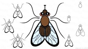 como dibujar una mosca facil