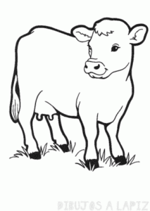como dibujar una vaca paso a paso
