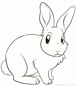 como hacer un conejo