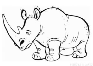 como se dibuja un rinoceronte