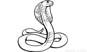 cómo se dibuja una serpiente