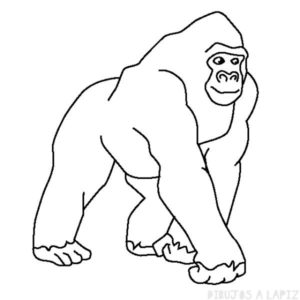 dibujo de gorila facil