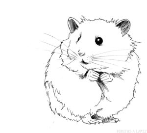 dibujo de un hamster