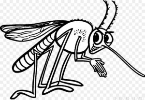 dibujo del mosquito del dengue