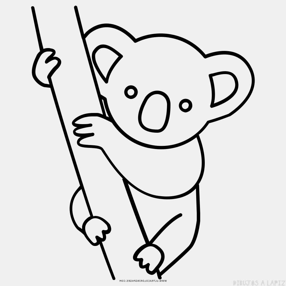 Amazoncom Lindo y adorable Kawaii Koala Bear diseño de dibujos animados  de vinilo flor 2 pulgadas de alto  Automotriz