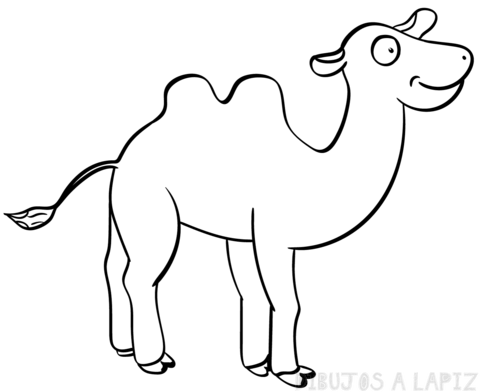 ᐈ Dibujos de Camellos【TOP】Camellos jorobados hermosos