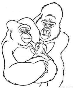 dibujos de gorilas a lapiz