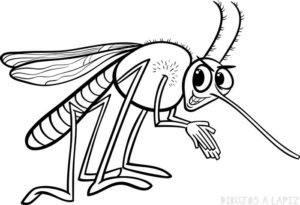 dibujos de insectos para niños