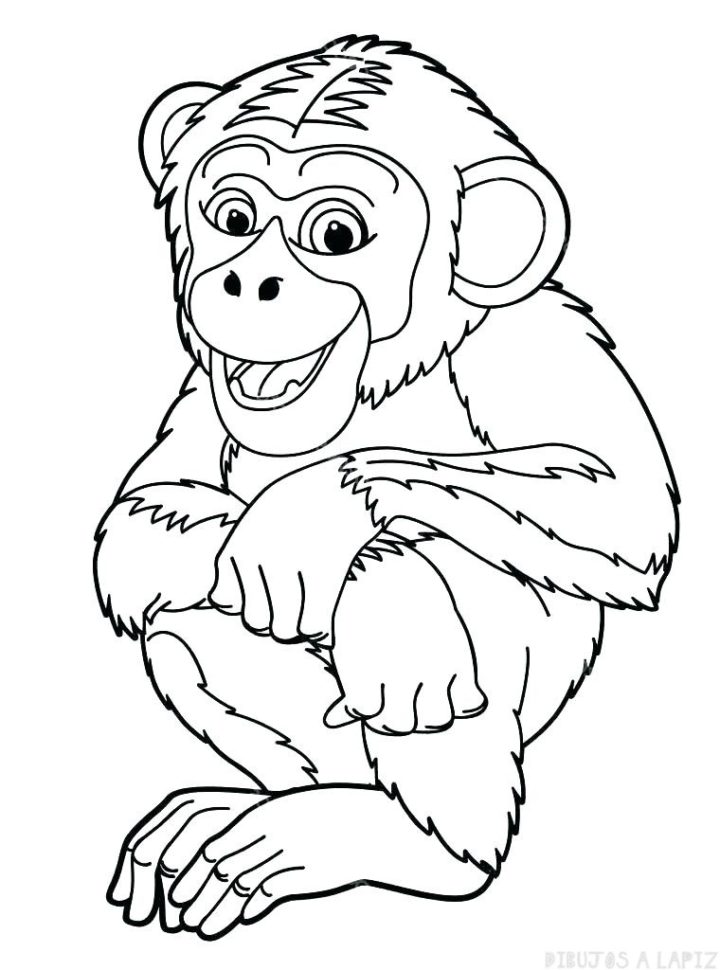 ᐈ Dibujos De Monos【top】monos Lindos Y Faciles 