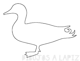 dibujos de patos para colorear