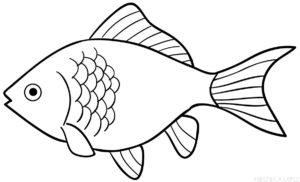 dibujos de peces para colorear