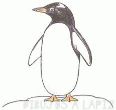 dibujos de pinguinos para calcar