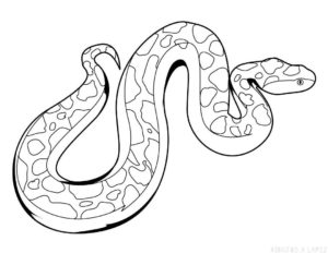 dibujos de serpientes para niños