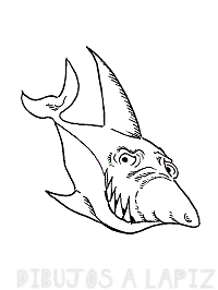 dibujos de tiburones a lapiz