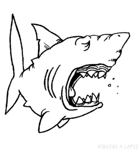 dibujos de tiburones faciles