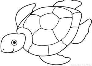 dibujos faciles de tortugas