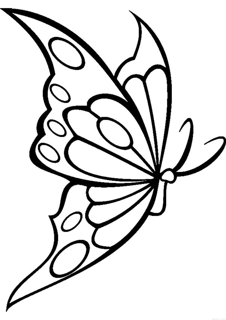 ᐈ Dibujos de Mariposas【TOP】Imágenes de Mariposas