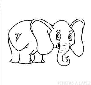 elefante bebe dibujo