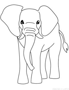 elefantes pintados