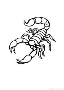 escorpion dibujo