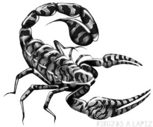 escorpion en 3d