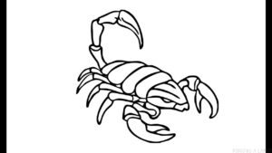escorpion en dibujo
