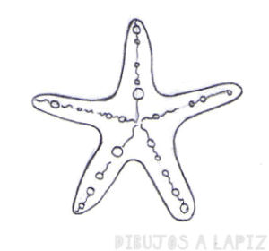 estrella de mar caricatura