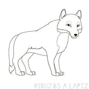 ᐈ Dibujos de Lobos【TOP】Lobos para dibujar a lapiz
