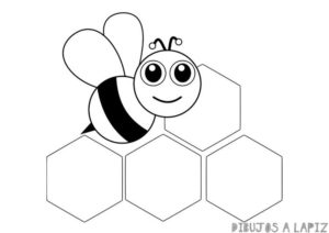 fotos abejas
