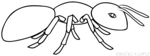 fotos de hormigas animadas