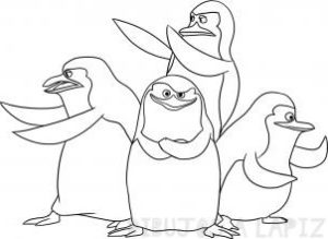 fotos pinguinos