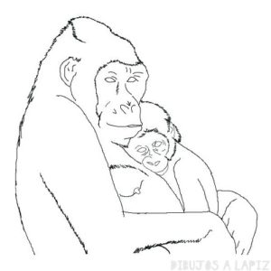 gorila para niños