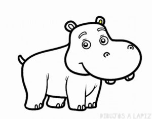 hipopotamo blanco