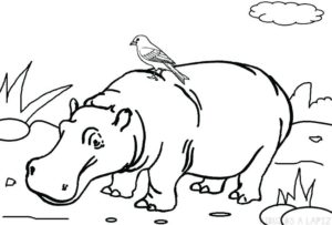 hipopotamo dibujo