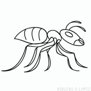 hormiga facil de dibujar