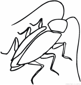 imagen cucaracha