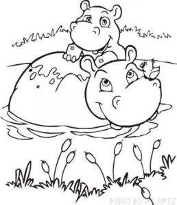 imagen de hipopotamo para colorear