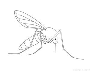 imagen mosquito